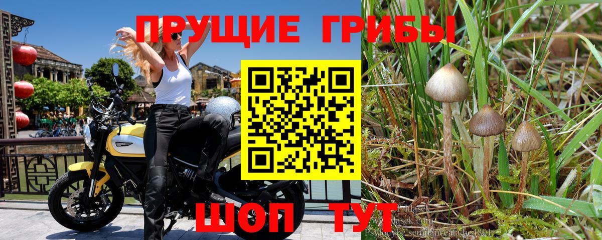 Псилоцибиновые грибы ЛСД  Вход с VPN  Узловая 
