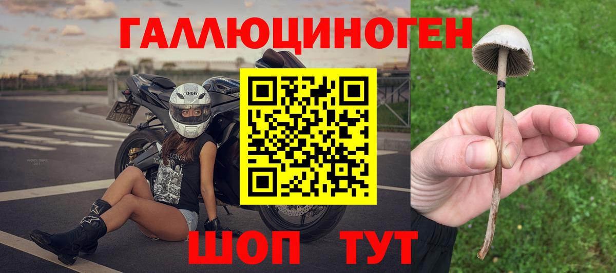 Галлюциногенные грибы мухоморы Узловая