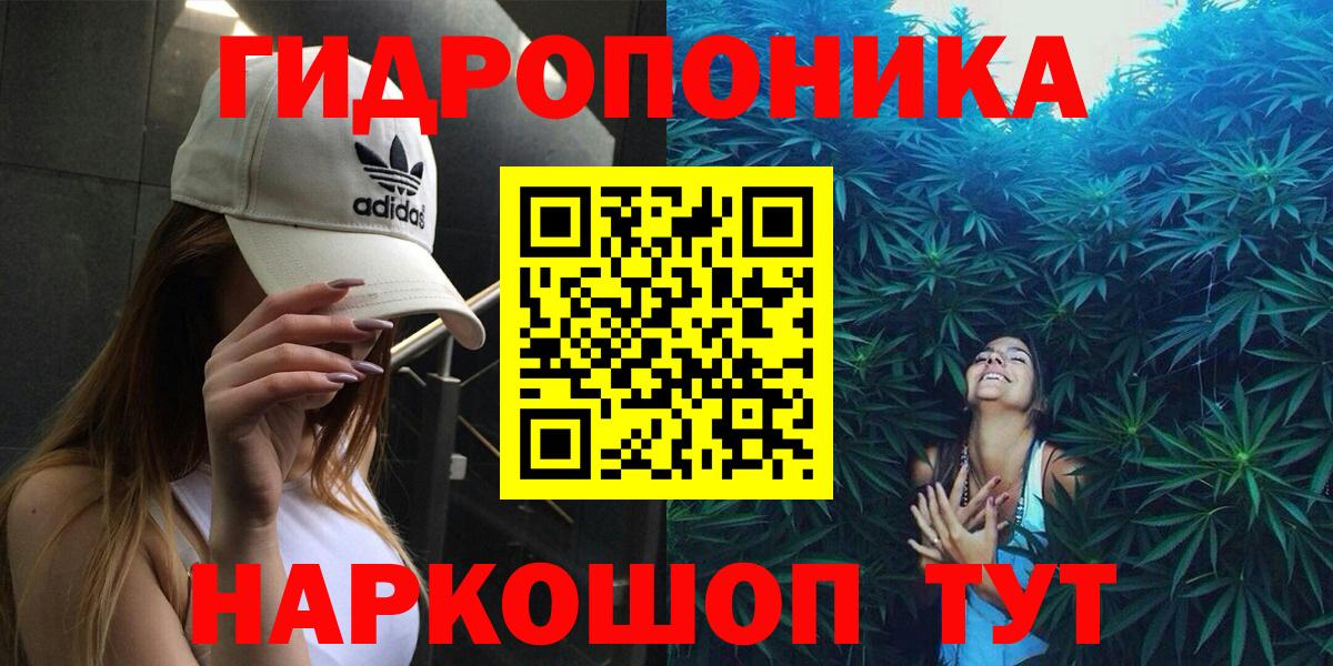 Узловая  Конопля семена  Каннабис SATIVA & INDICA  Вход с VPN  Каннабис Ganja 